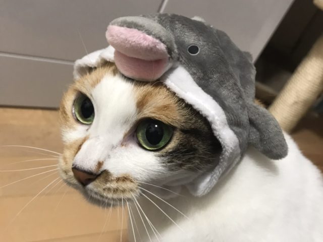 2月