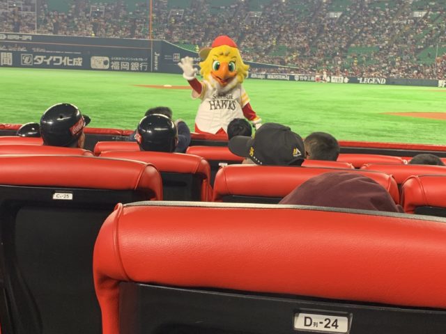 はじめまして