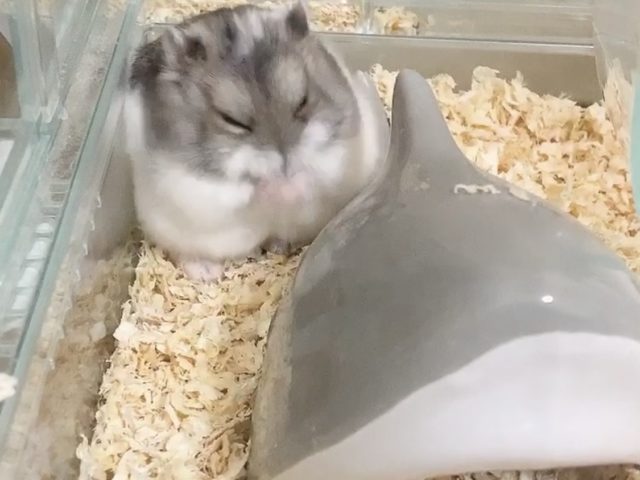 やらかし、、、