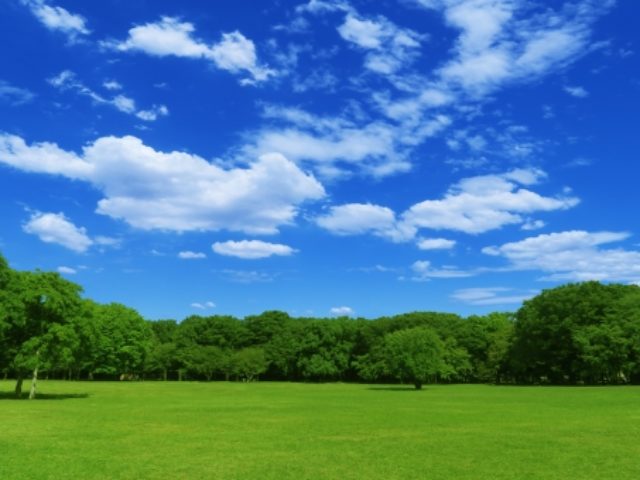 営業再開のお知らせ