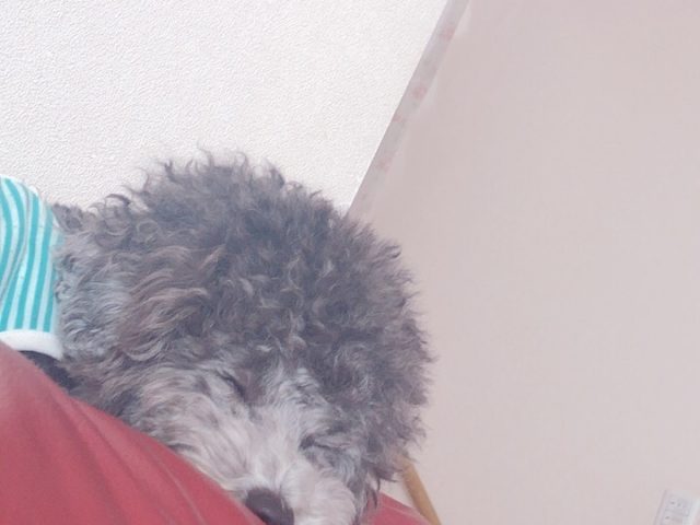 蘭です^ ^