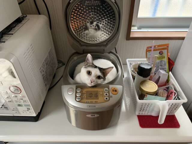 可愛すぐる🥺